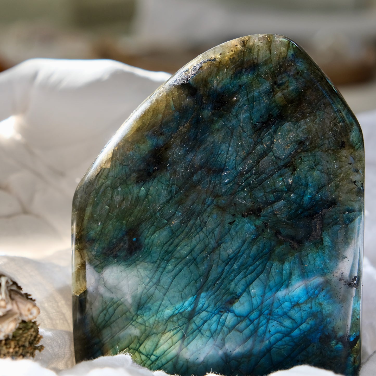 Labradorite Free Form