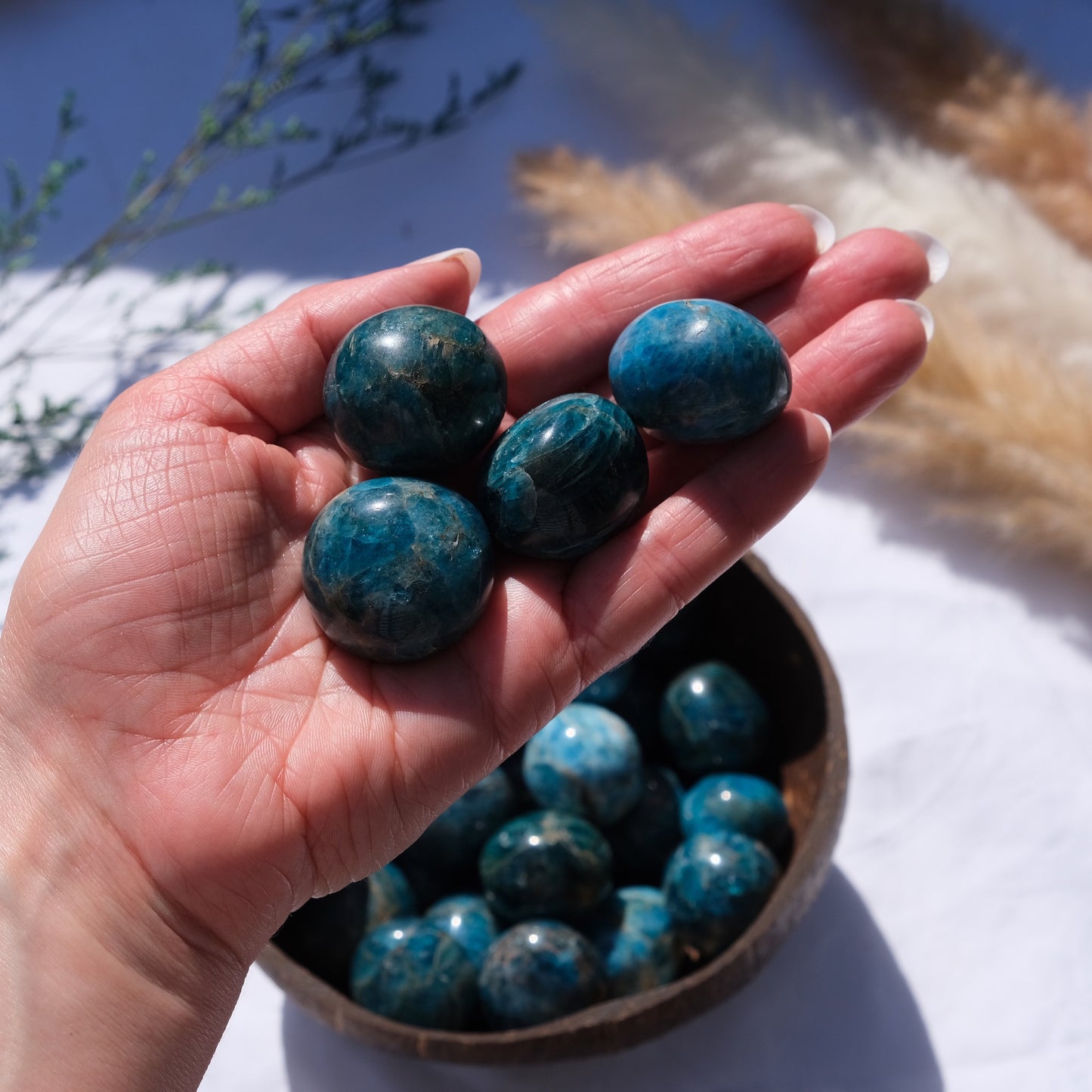 Chrysocolla Tumbles