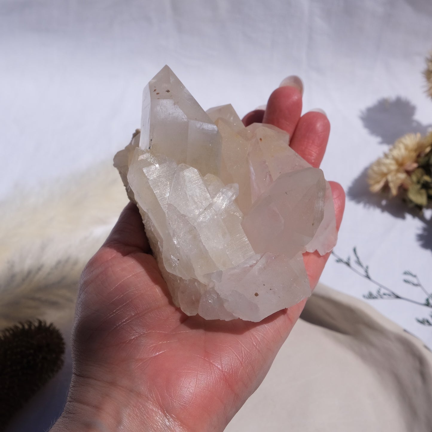 Clear Quartz Cluster