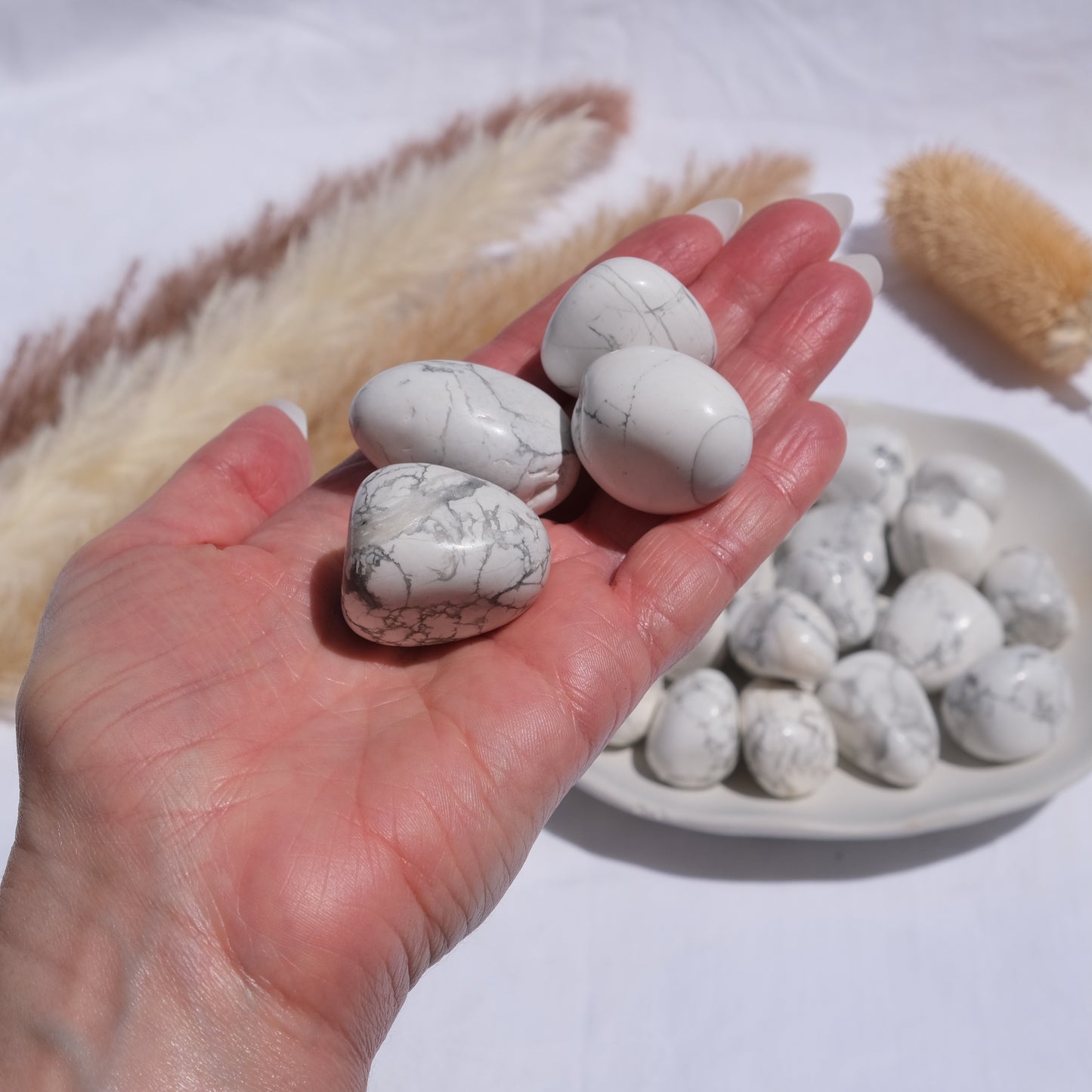 Howlite Tumbles