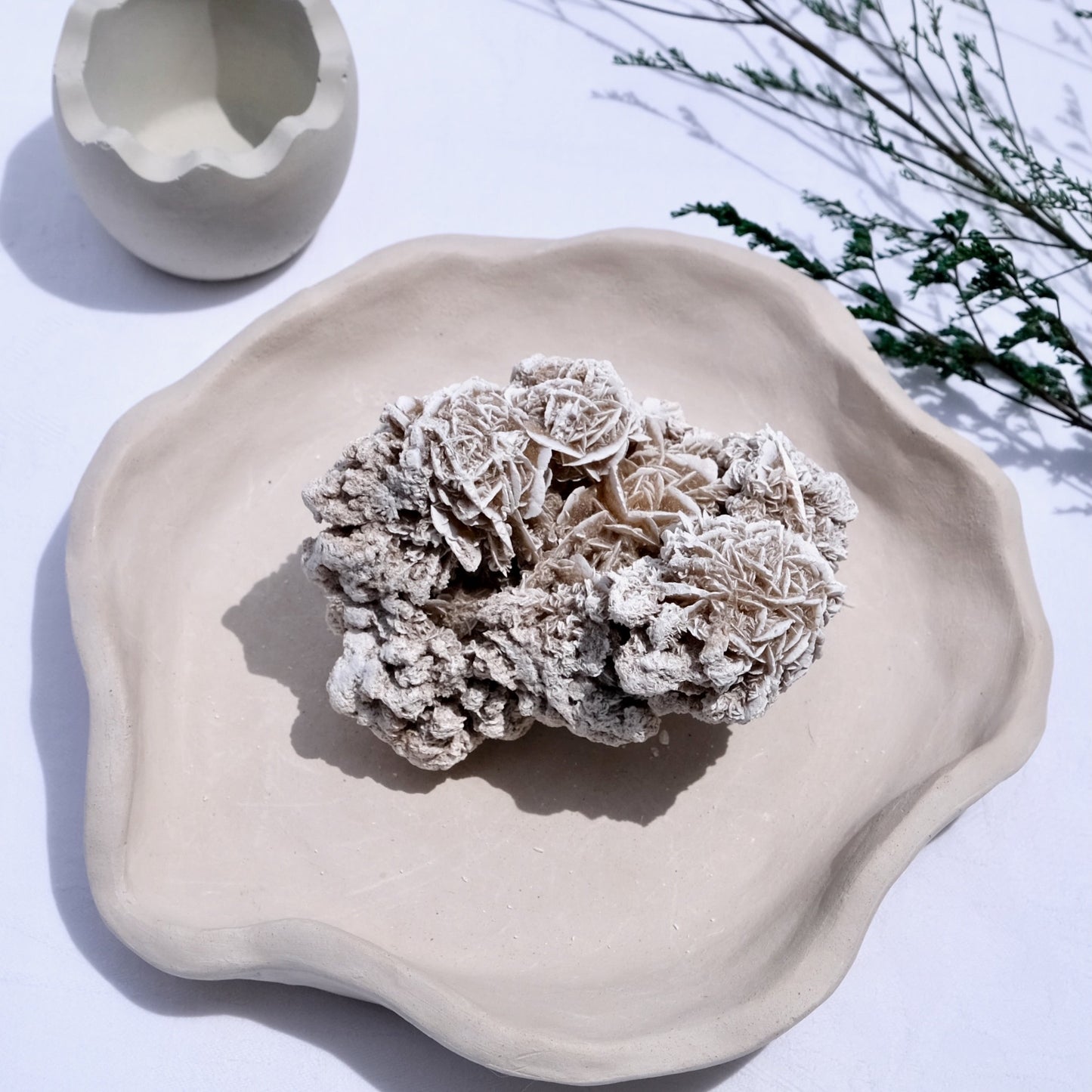 Desert Rose Cluster