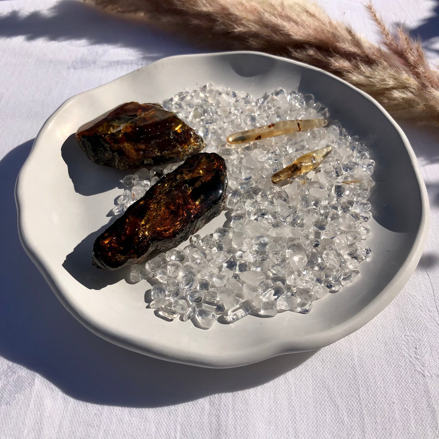 copal amber and lions mane amber