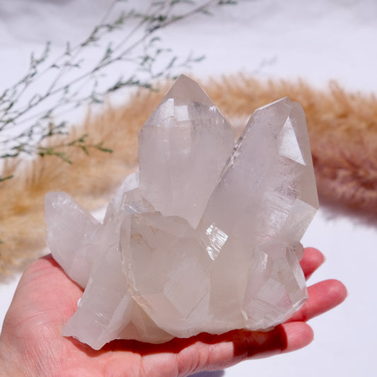 Clear Quartz Cluster