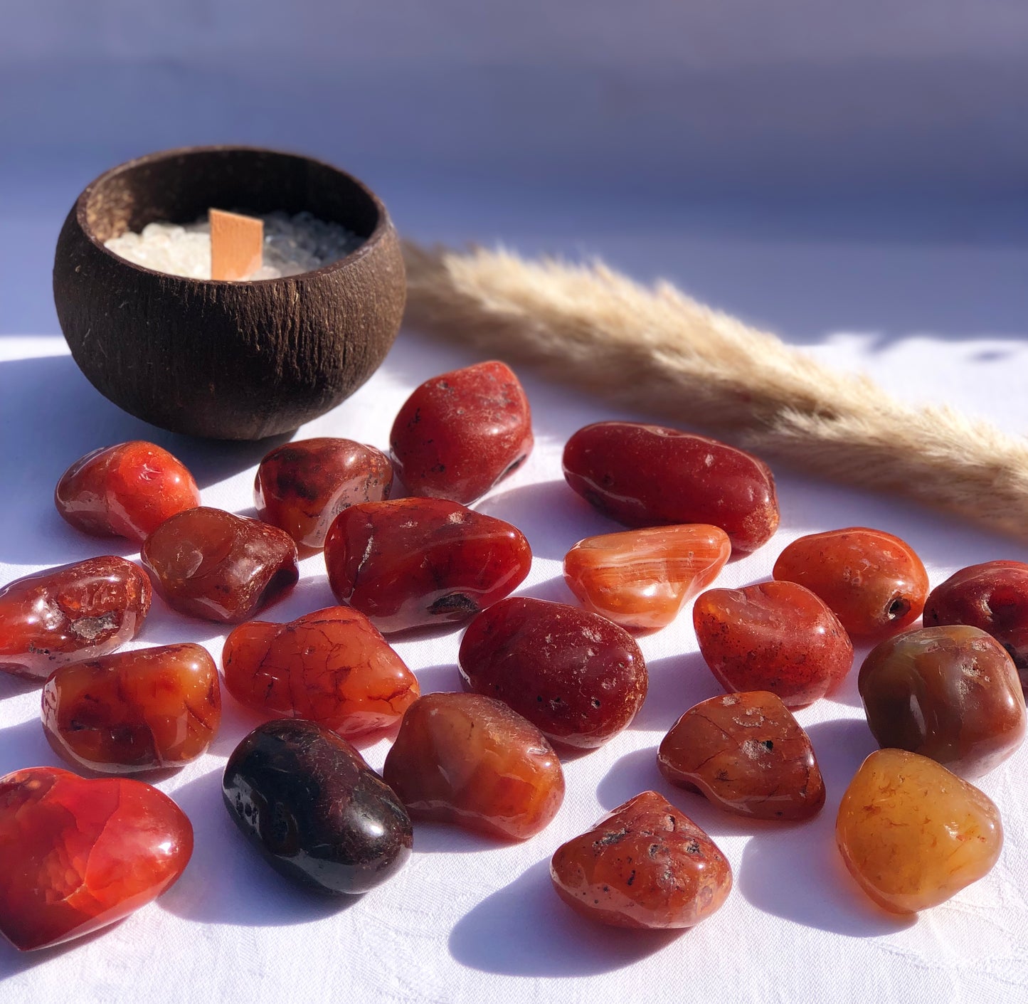 Carnelian Tumbles