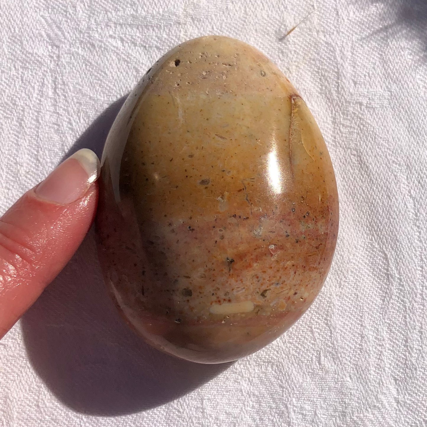 Ocean Jasper Palm Stone