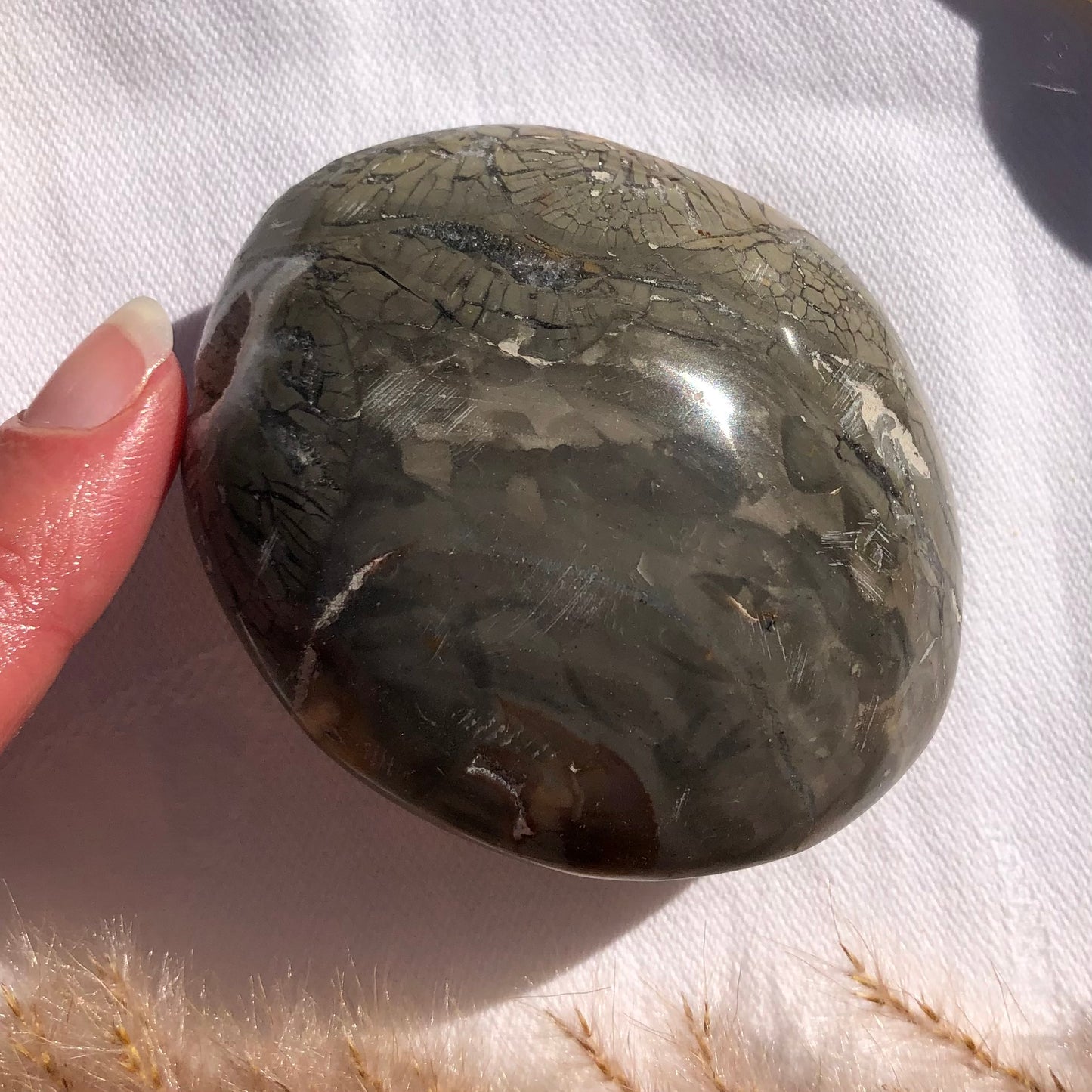 Ocean Jasper Palm Stone