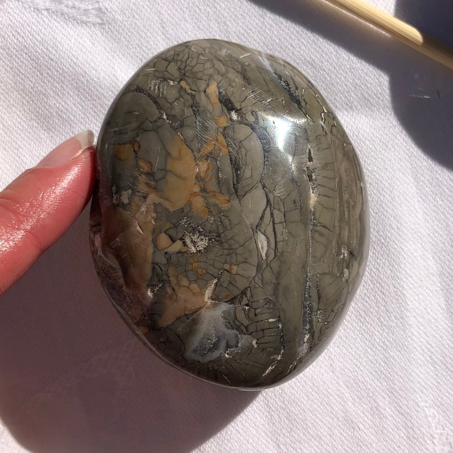 Ocean Jasper Palm Stone